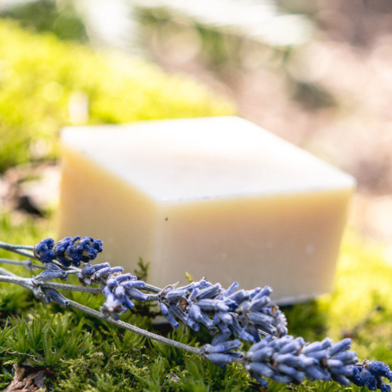 Windelinge Wollfettseife Lavendel