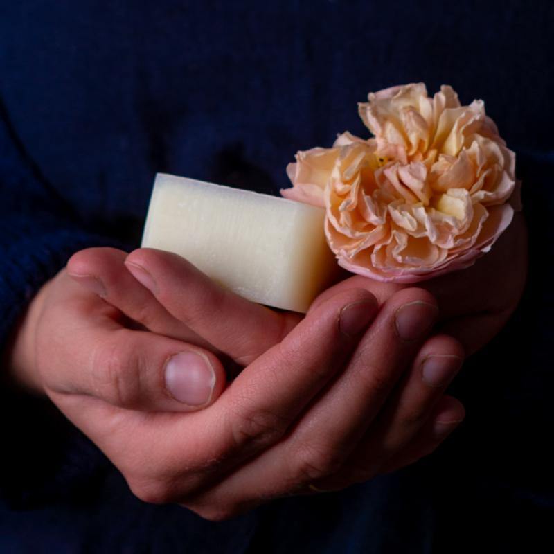 Windelinge Wollfettseife Rose